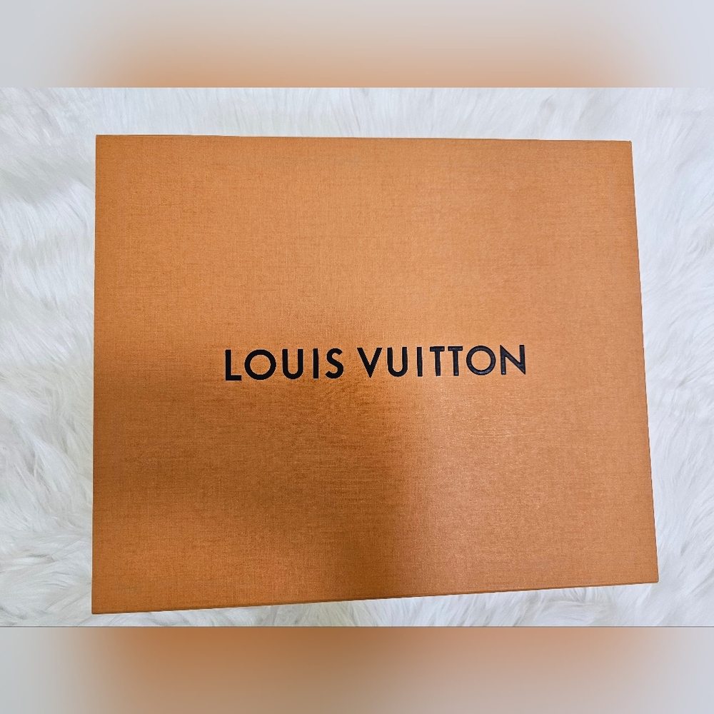 Louis Vuitton Box and dust bag - Picture 2 of 9
